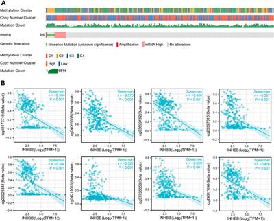 INHBB is a novel prognostic biomarker and correlated with immune infiltrates in gastric cancer